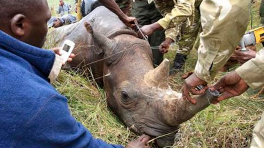 Bộ Ngoại giao Việt Nam thông tin vụ Chu Đăng Khoa bị bắt ở Nam Phi